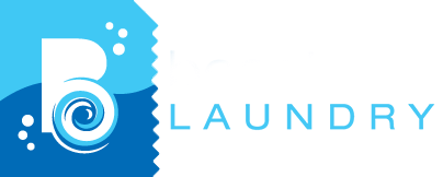 One of Beantown Laundry Logo Samples